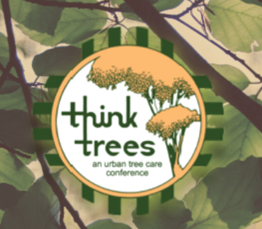 Urban Tree Care Inc. Lead Arborist Matt Ritter providing expert tree care consultation in San Diego